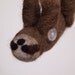 Gobi the Pocket Sloth