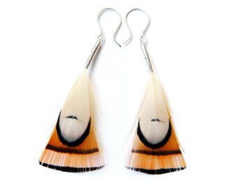 Small Feather Earrings in Burnt Orange and White with Natural Patterns
