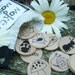 Make a Match - Nature Edition - A Montessori and Waldorf Inspired Matching and Memory Game