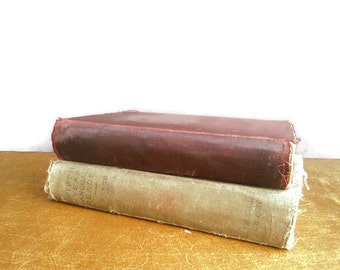 Vintage Book Set 1914 Websters Shorter School Dictionary AND Fifth Year Language Reader Baker Carpenter