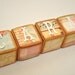 Special Listing for Cmclendinning - Bookstore Antique Inspired Childrens Blocks- set of 3