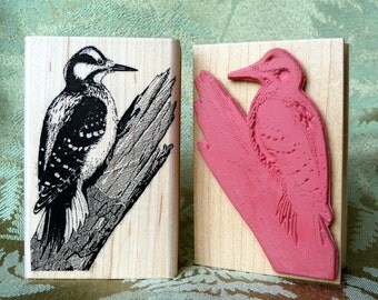 Hairy Woodpecker Bird rubber stamp from oldislandstamps