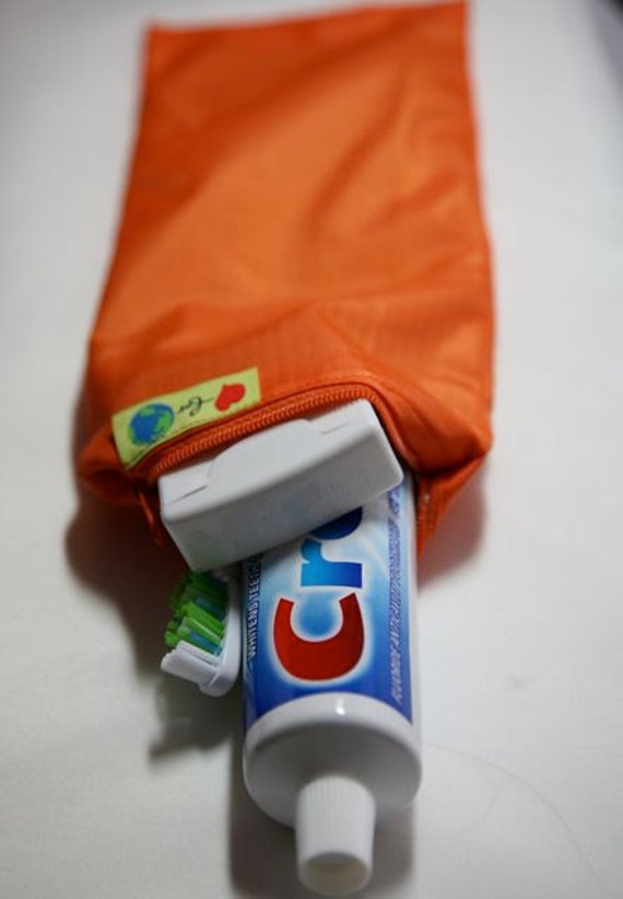 Toothbrush and Toothpaste zip carry bag