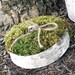 Rustic Birch Bark and Moss Wedding Ring Bearer Pillow