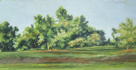 Original colored pencil landscape painting Tree Line