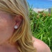 Small Sand dollar earrings