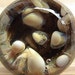 Glass Hollow Marble by J. R. Hooper