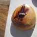 Reserved- 3 Cedar Buttons- Handmade Wooden Buttons in reclaimed Western Red Cedar