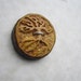 Carved Tree Button- Handmade Wooden Button- in Reclaimed Buckthorn