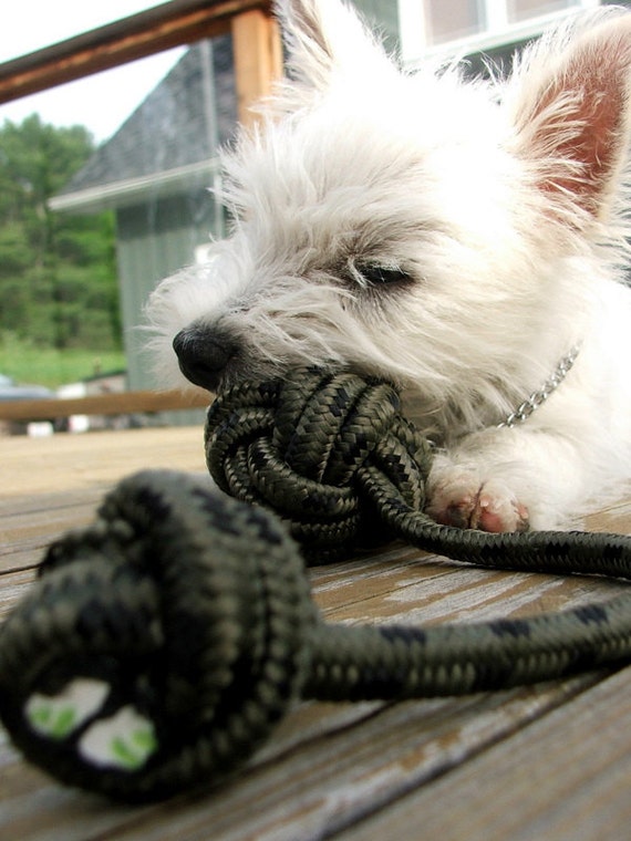 Nautical Dog Toy Black and Grey Dog Toy by BeechHouseStudio