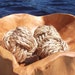 Nautical decor - knot bowl fillers - 3 little knots - great beach theme