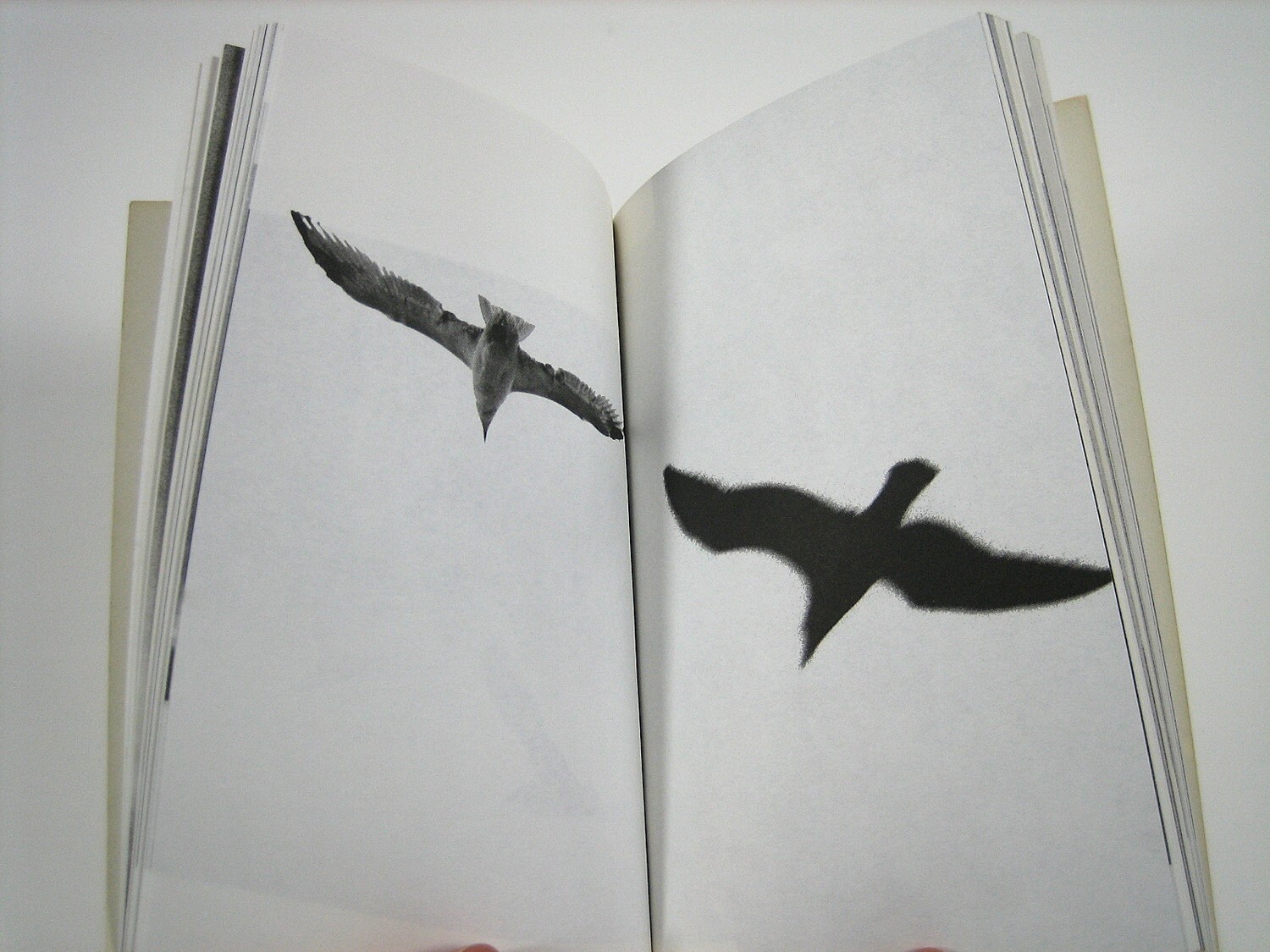 Jonathan Livingstone Seagull by Richard Bach Jonathan Livingstone Seagull by Richard Bach