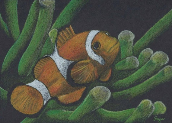 Items similar to Clown Fish Original Colored Pencil Drawing 5x7 on Etsy