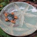 pottery bowl turtle starfish