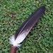 Prayer fan - Wedge-tailed Eagle - handmade from naturally sourced feathers