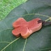 reserved for Cassandra - Wood jewelry - Tea tree wood necklace - this is Australia