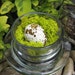 Spring Decor Moss Bird Nest Tiny Bell Jar Quail Egg Mini Cloche
