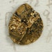 Teardrop Drusy Dark Gold Druzy Crystal Cabochon Metallic Coated (D2151)