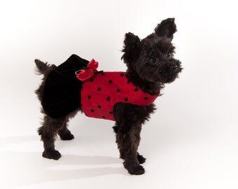 Dog Harness Dress - Lady Bug