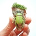 Green beetle-Spring forest inspired cute beetle brooch,boutonniere or hair clip-Nature,woodland