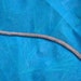 Rhododendron Wand