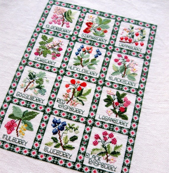 Vintage Needlework Cross Stitch Fruit Berry Sampler Green Pink