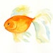 GOLDFISH by DIMDI Original watercolor painting 8x10inch
