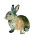 BUNNY by DIMDI Original watercolor painting 10X8inch