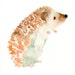 HEDGEHOG by DIMDI Original watercolor painting 8x10inch (Vertical orientation)