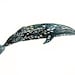 GREY WHALE by DIMDI Original watercolor painting 10X8inch