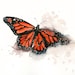 MONARCH BUTTERFLY by DIMDI Original watercolor painting 10X8inch