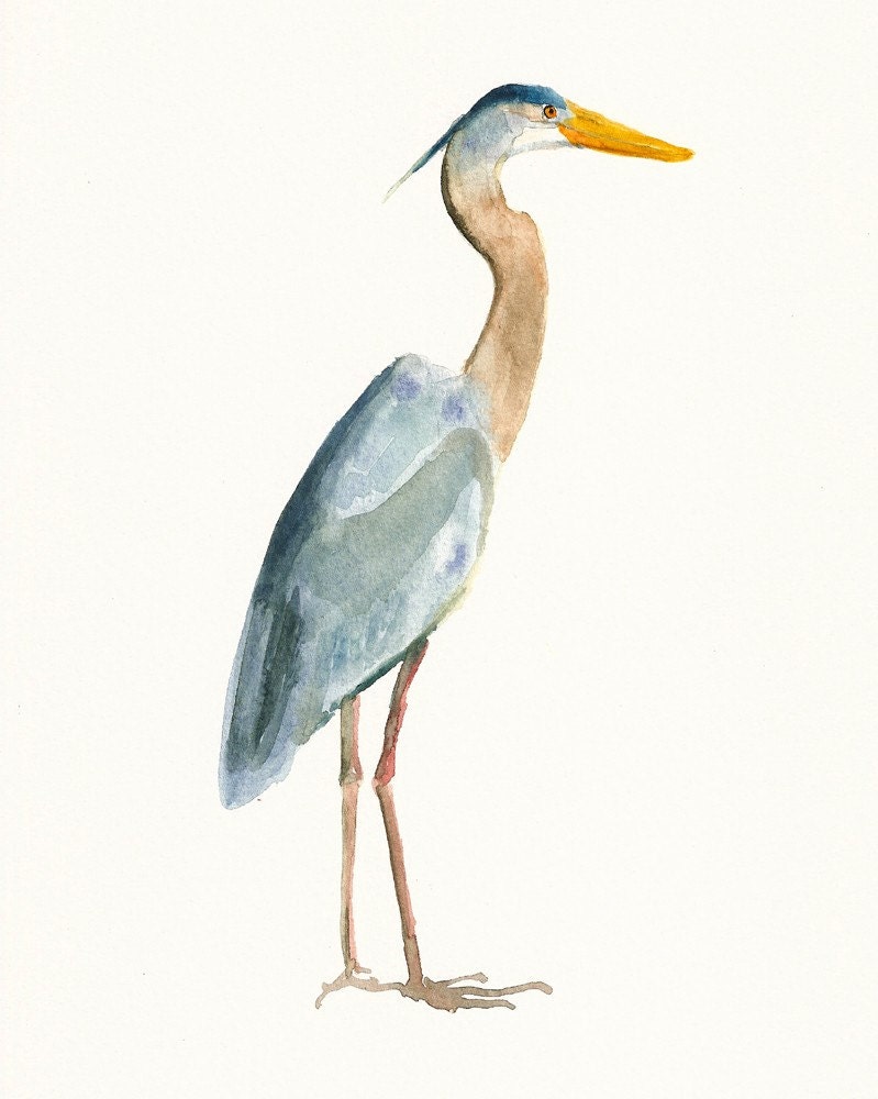 GREAT BLUE HERON Original watercolor painting 8x10inch