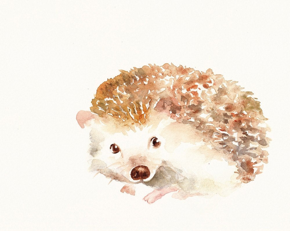 frame 10x8 inch 10x8 painting HEDGEHOG watercolor inch Original