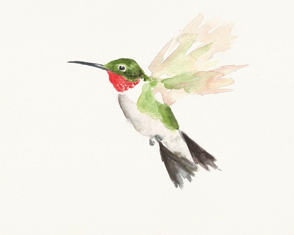 Download HUMMINGBIRD by DIMDI Original watercolor painting 8x10 inch