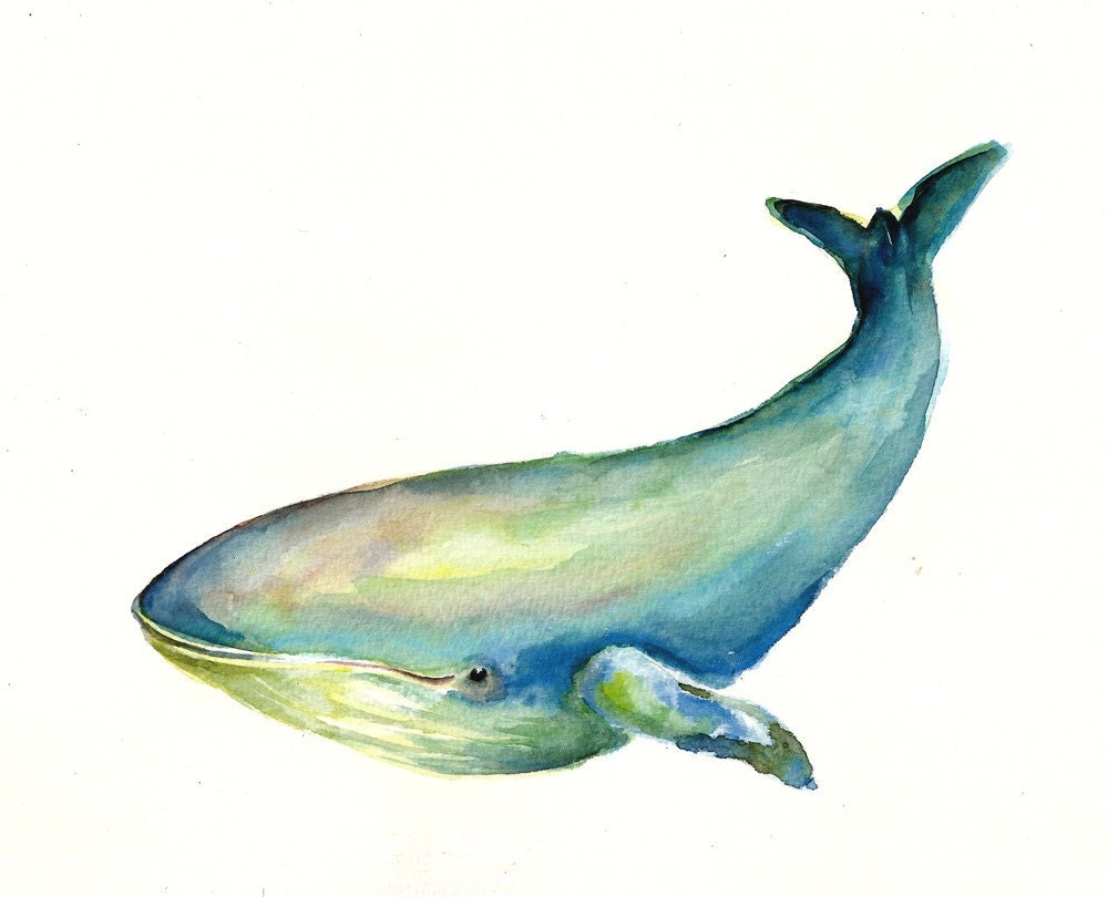 WHALE by DIMDI Original watercolour painting 10X8inchxxxxAll