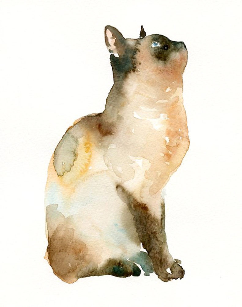 CAT by DIMDIart Original watercolor painting 8x10inchxxxxAll
