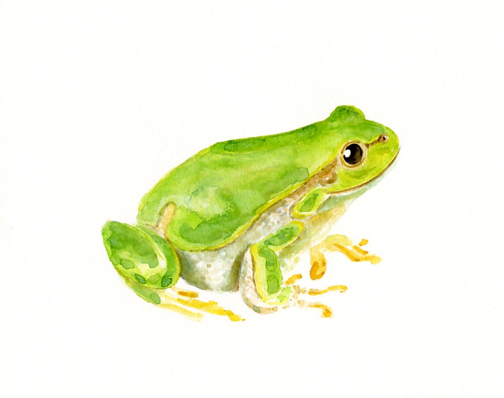 Watercolour Paintings Of Frogs – Bornmodernbaby