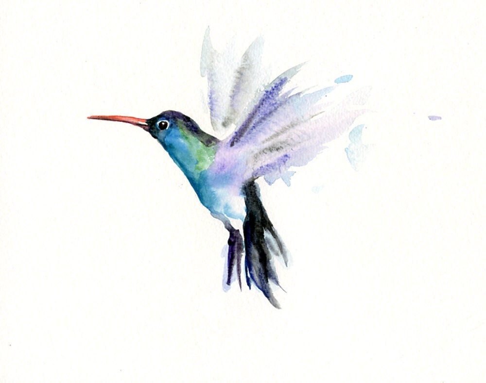 hummingbird by dimdi original watercolour painting 10x8inch hummingbird by dimdi original watercolour painting 10x8inch