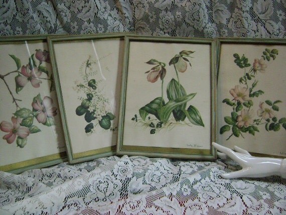 VINTAGE FRAMED BOTANICAL PRINTS SET OF FOUR WOODEN FRAMES