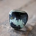 Overgrown Ring American Turquoise