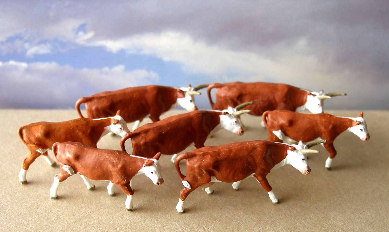 o scale cattle