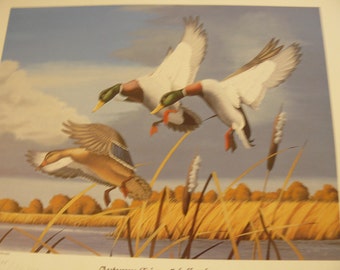 Artist R L Kothenbeutel Signed Numbered Limited Edition Print Autumn Trio MALLARDS