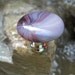 SALE Glass Drawer Knob Purple Swirls (GK03) MORE Colors Available