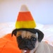 RESERVED for missy CANDY CORN pet hat