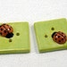 LadyBug Square Ceramic Buttons