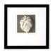 Ceramic art, 3-d Wall Decor, White Pottery, Leaf, Vine , White, Grey, Black