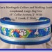 Large Dog Size Martingale Collar and Leash Combination Walking Lead, Blue, Greyhound