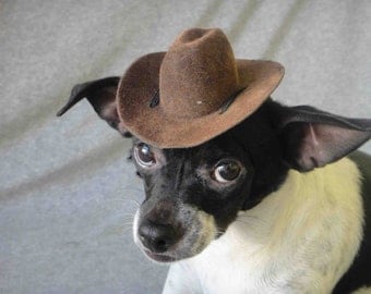 Indiana Jones hat for dog or cat