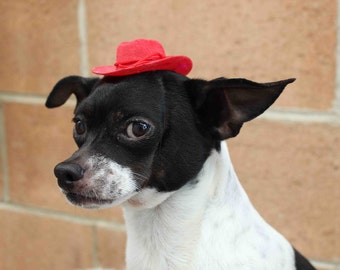 Cowboy mini hat for dog or cat