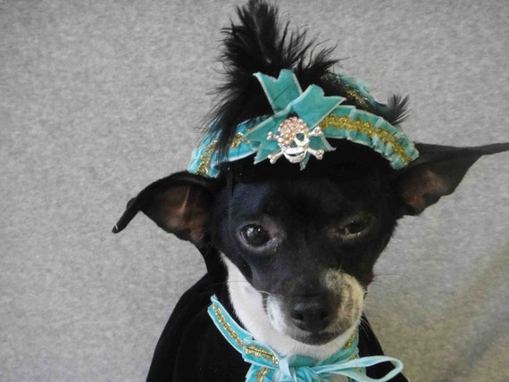 pirate hat for dogs